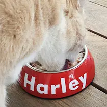 Personalised Cat Bowls