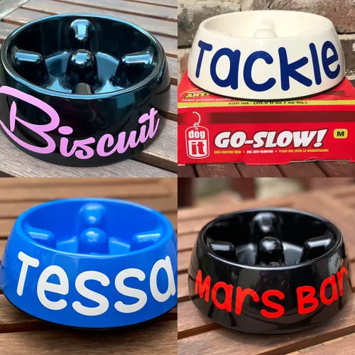 Personalised Go Slow Anti-Scoff Bowl For Dogs