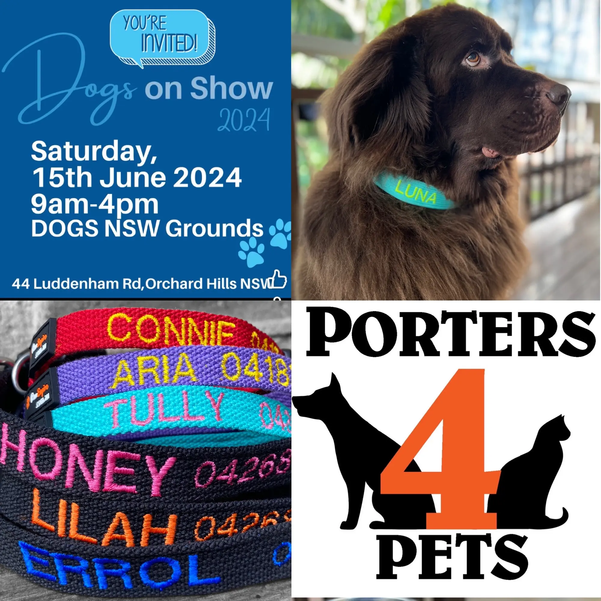 Dogs On Show - Saturday 15th June 2024